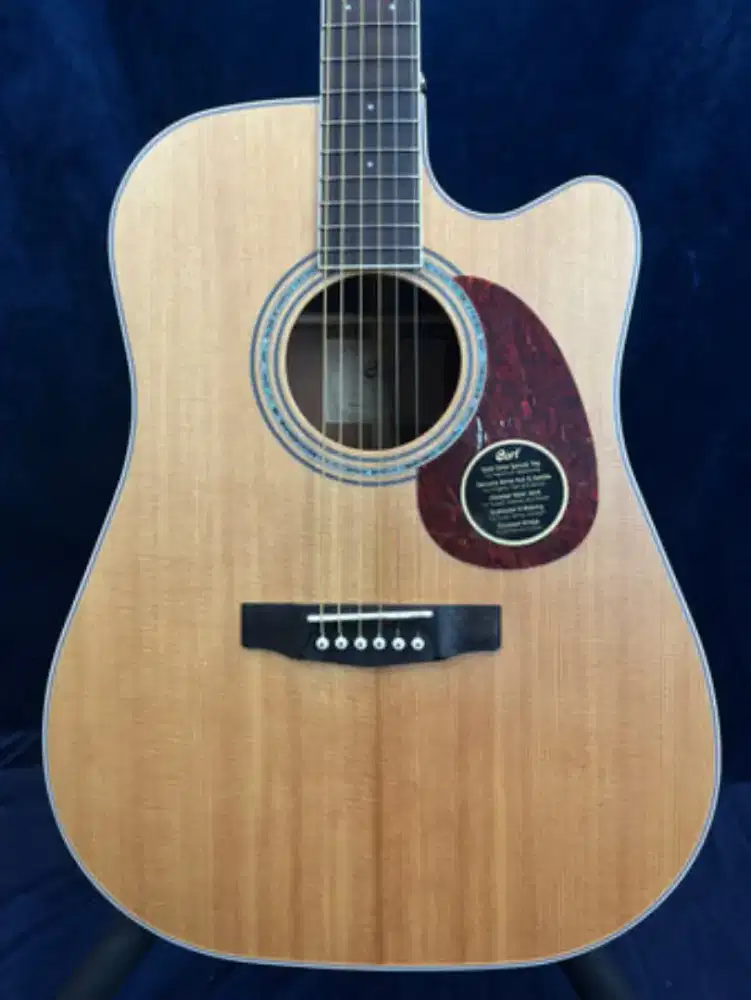 Guitar Accoustic Cort