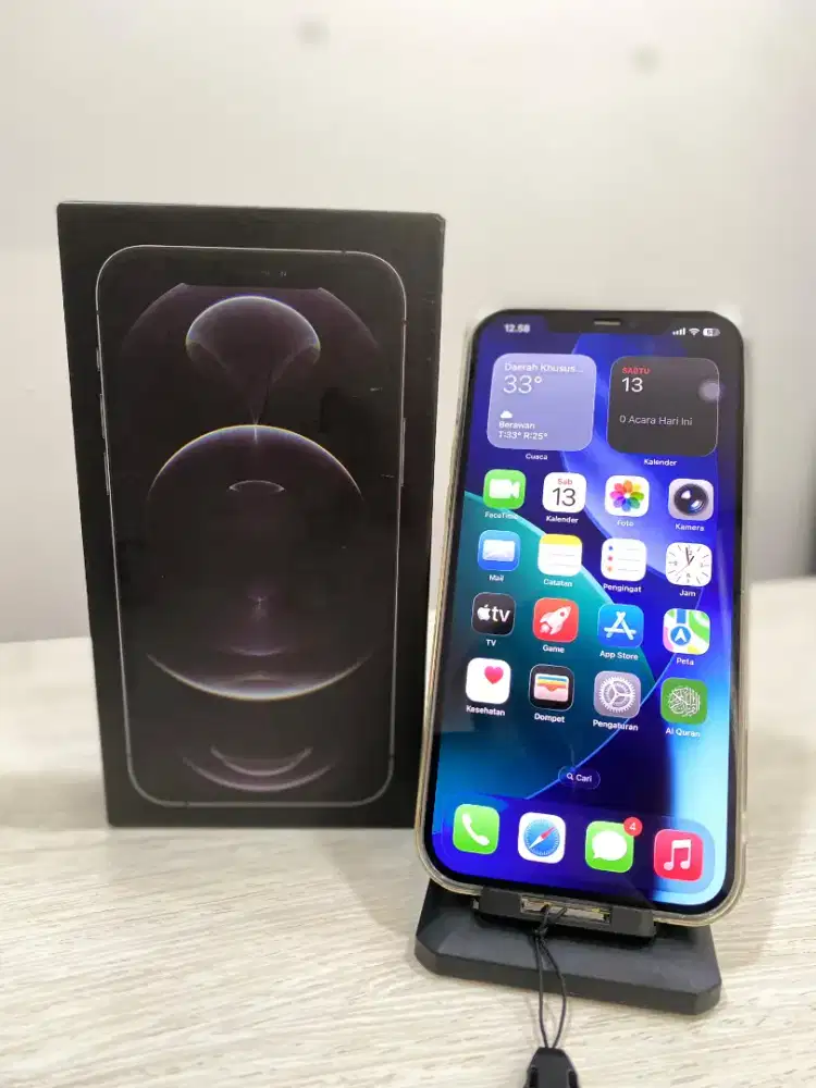 IPHONE 12 PRO MAX 256 GB