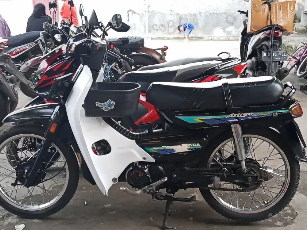 Astrea grand bulus 1993
