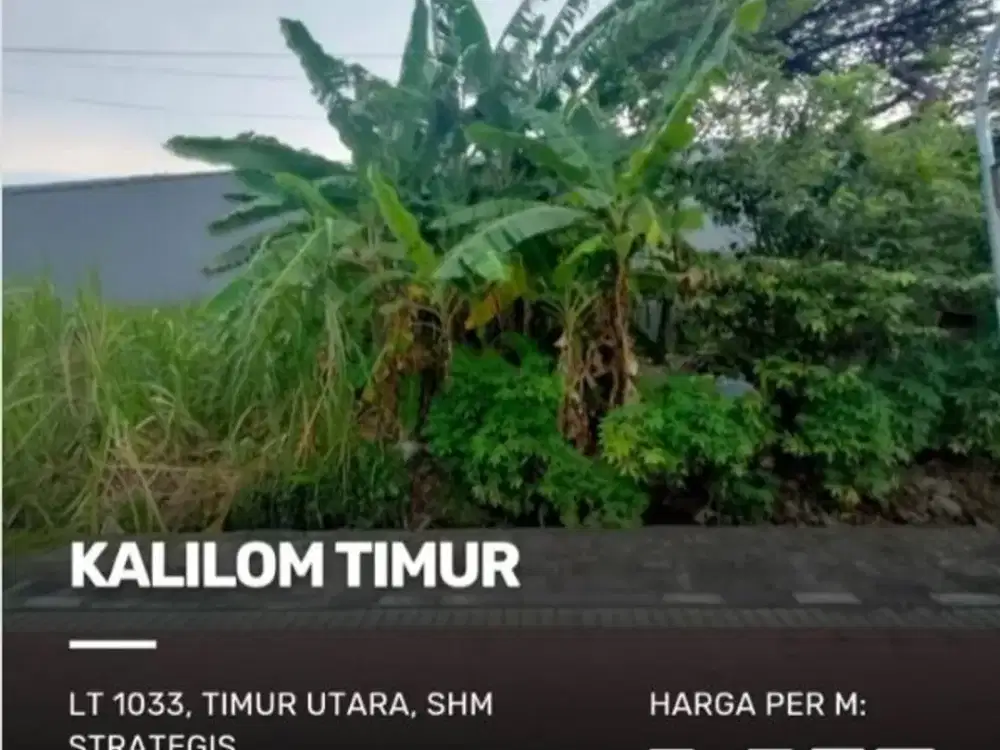 MURAH Kavling Kalilom Timur , Kedinding