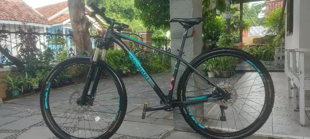 Sepeda Polygon Xtrada 8 Limited