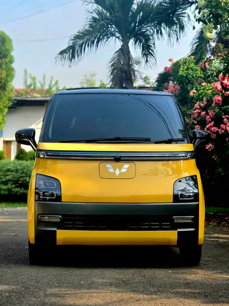 Air ev Longrange 300km warranty lifetime