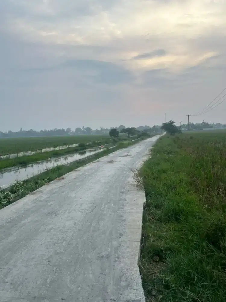 Dijual sawah produktif dekat akses jalan dan air