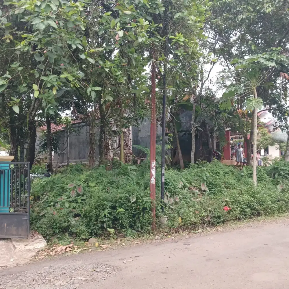 Tanah kosong, perkebunan, lokasi pinggir jalan, akses mobil mudah