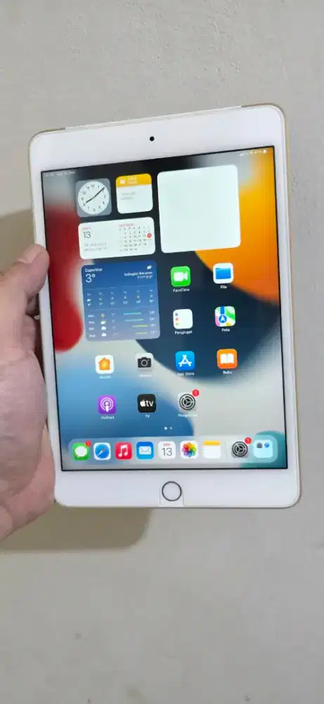 IPad Mini 4 128gb Wifi Cell All Operator