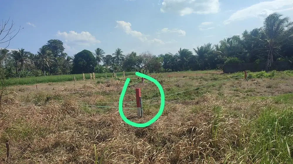 Tanah SHM di lr putat mata merah