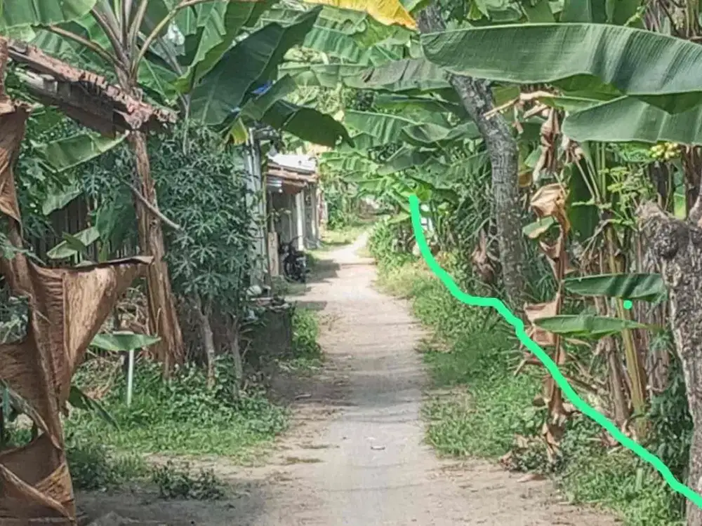 Dijual Tanah Pekarangan cocok utk Kandang Peternakan di Ngemplak Caturharjo