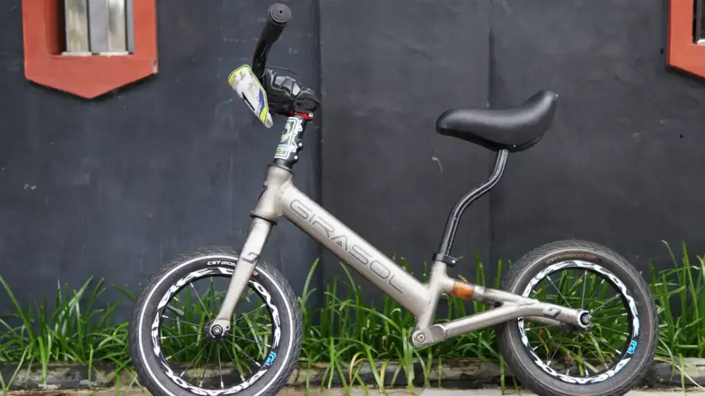 SEPEDA PUSHBIKE ANAK