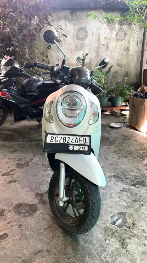 Honda scoopy 2024