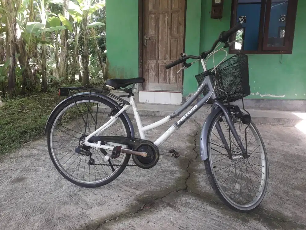 Dijual sepeda polygon sierra lite bekas