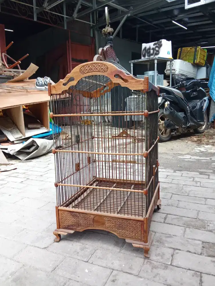 Kandang burung kotak