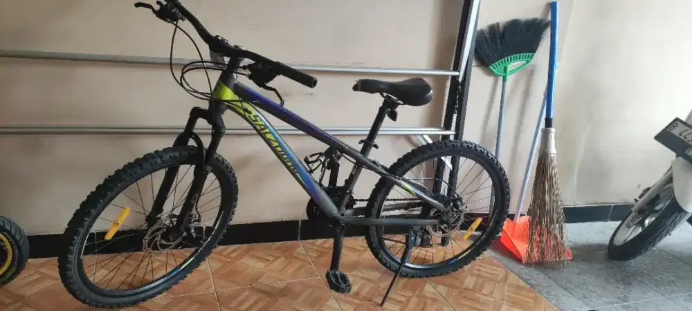 Sepeda MTB anak 24 inch