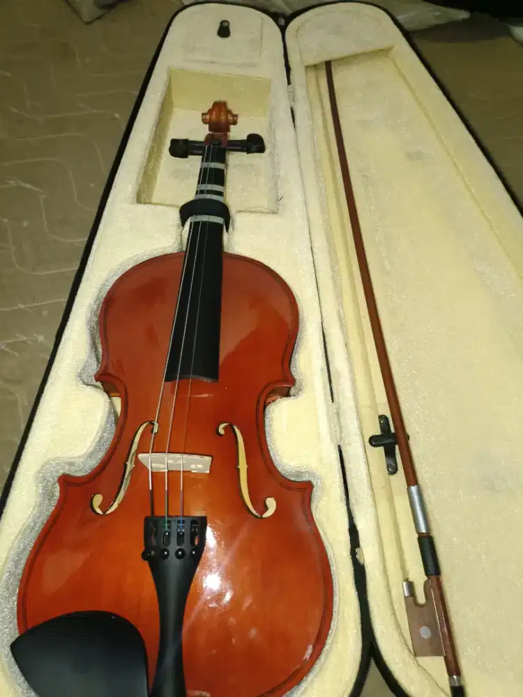 Jual Biola masih mulus