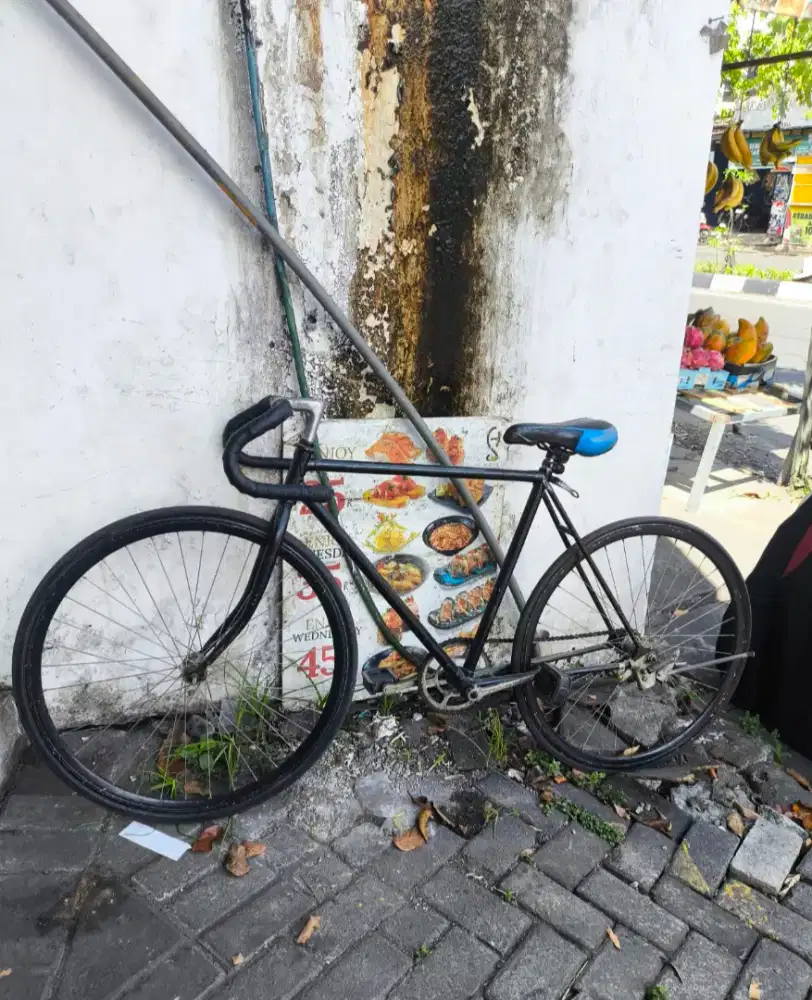 Sepeda fixie torpedo