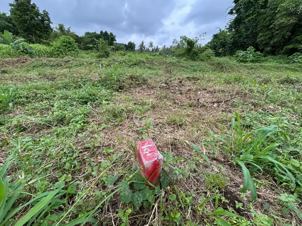 SHM Pecah, Tanah Dekat RS Panti Nugroho Pakem