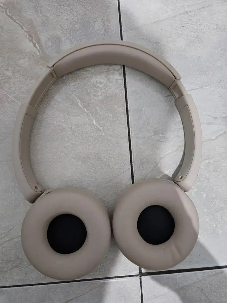 SONY WH-CH520 Wireless Headphone