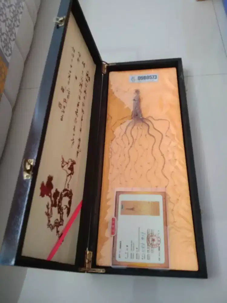 Ginseng Asli Korea