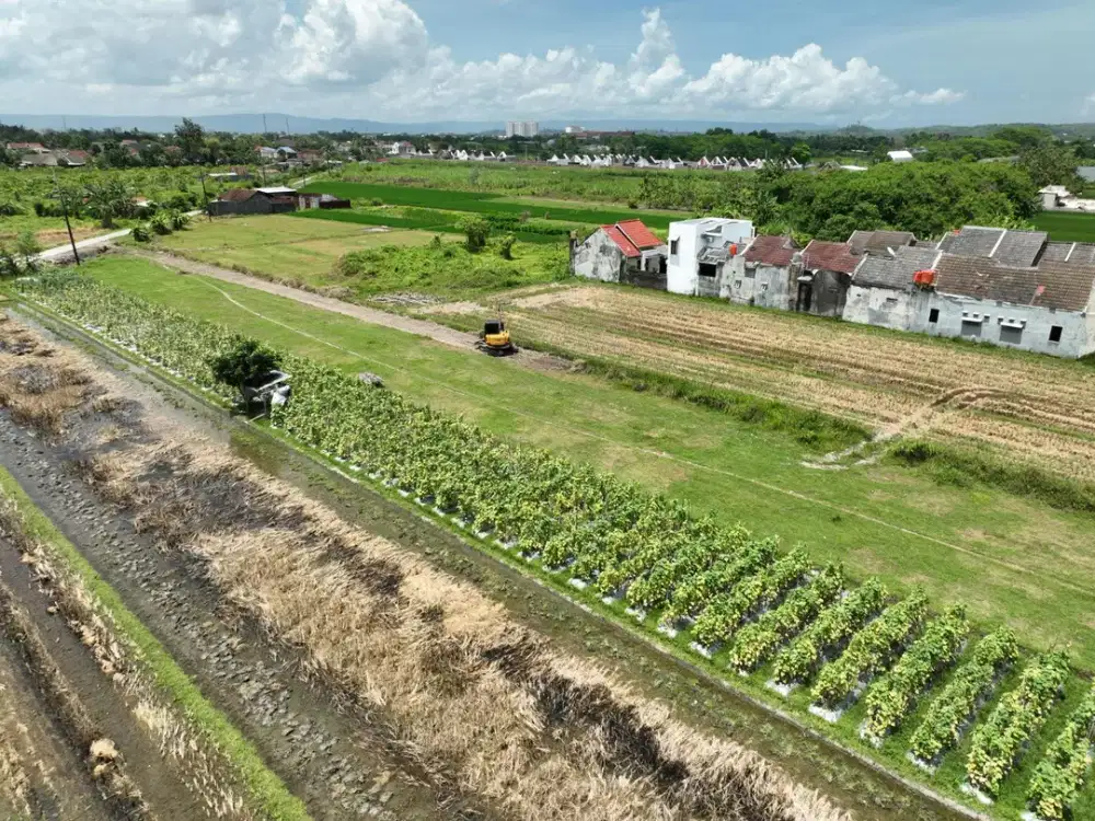 Tanah Untuk Rumah Type 36 Dalam Lingkungan Asri di Area Godean