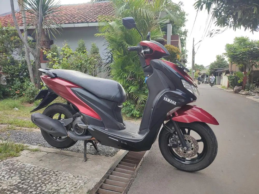 FREEGO TAHUN 2019 PAJAK HIDUP