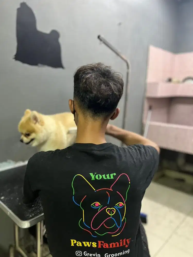 Dicari groomer dan kennel boy pet shop pengalaman