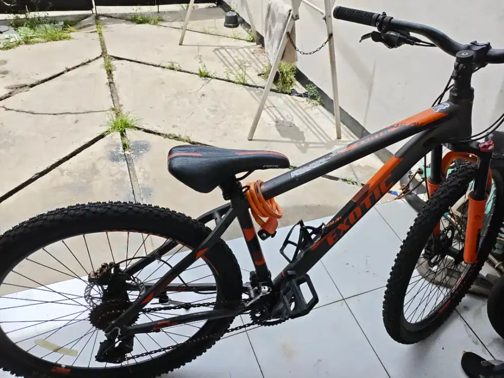 Sepeda jarang pake Normal