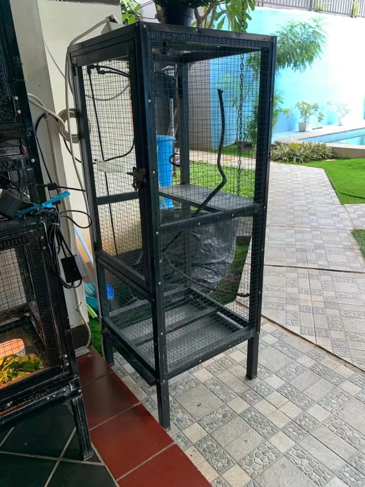 Kandang Reptile Chameleon