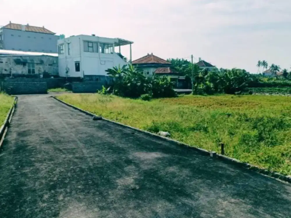 Jual Tanah Sejuk  View Sawah Di Jalan Antasura Denpasar Bali. Dekat Wr.Mina, SMAN 8 Denpasar, Nangka Selatan, Ahmad Yani Utara.