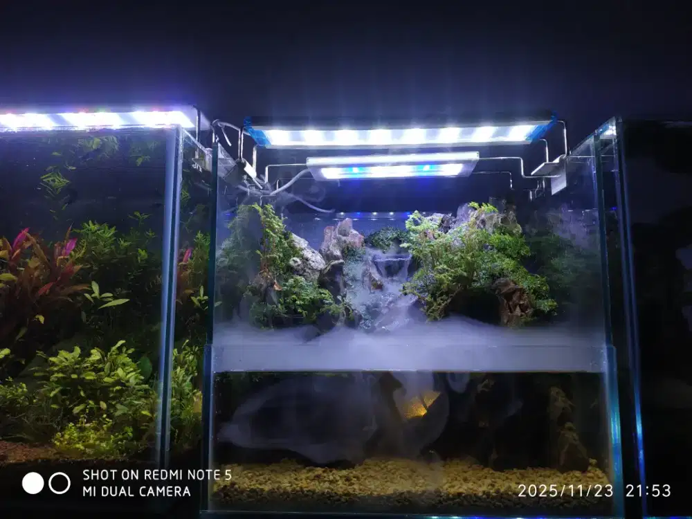 Aquarium paludarium gemericik