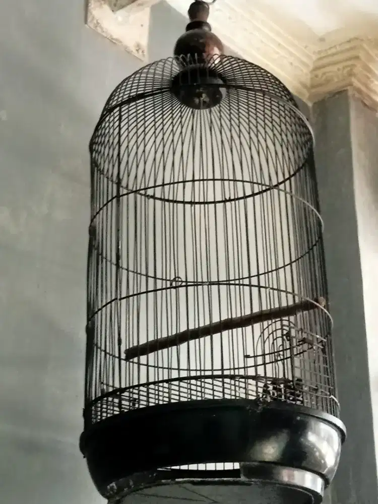 Kandang burung borongan 3 pcs