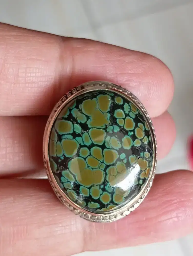 Pirus Hubei Dwi Warna Gradasi Nyeplok HQ