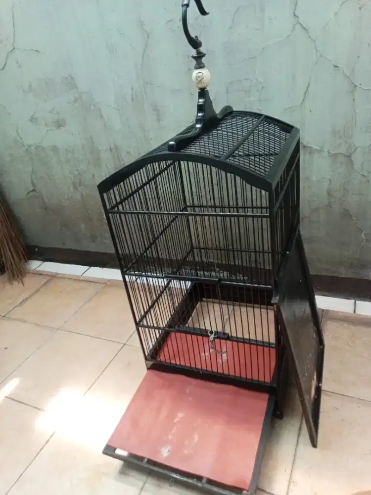 Kandang kotak no2 masih kuat dan keker