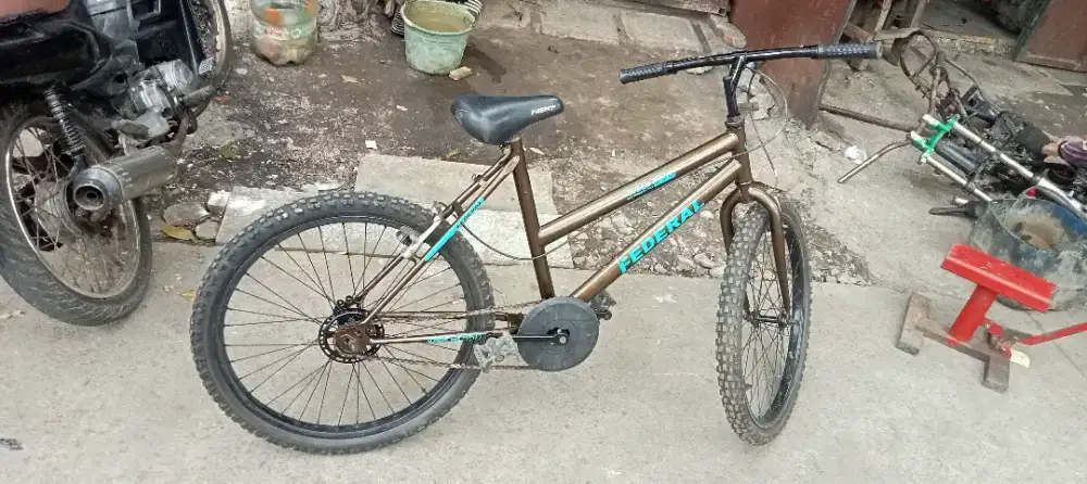 Sepeda Mtb Lady Vintage Uk24