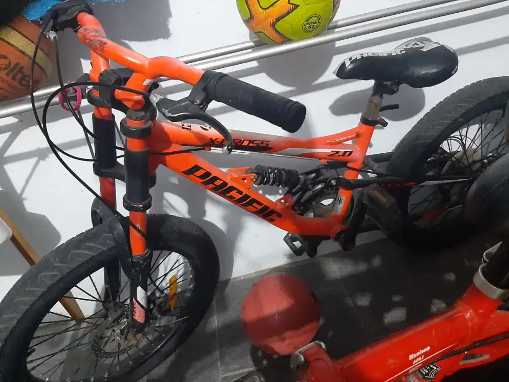 Jual sepedan gunung anak besar