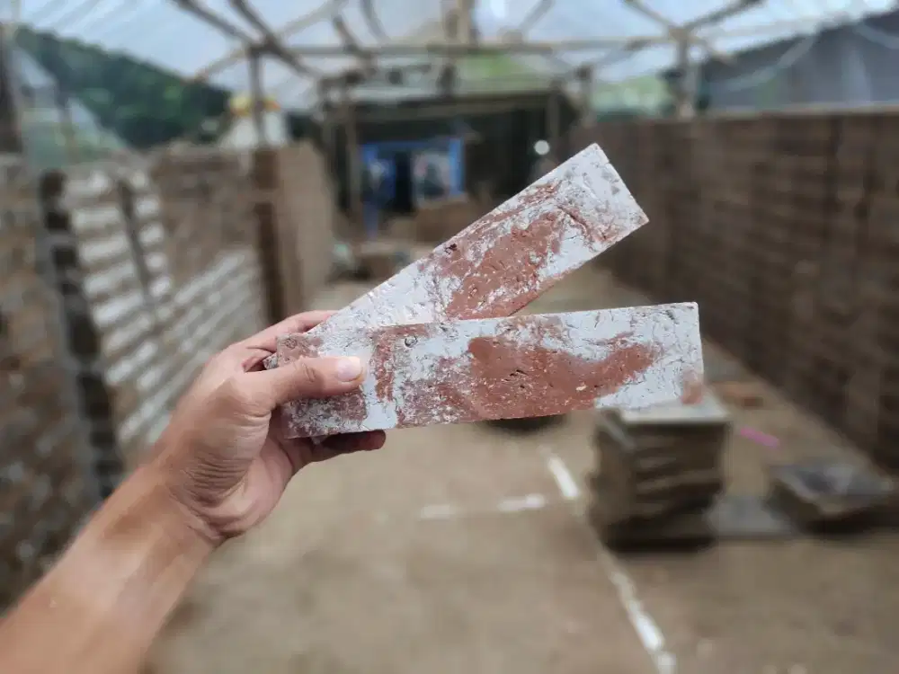 Bata Tempel Vintage⁴