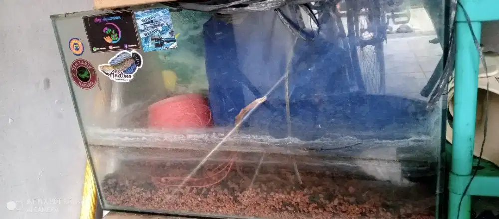 Aguarium ikan bekas