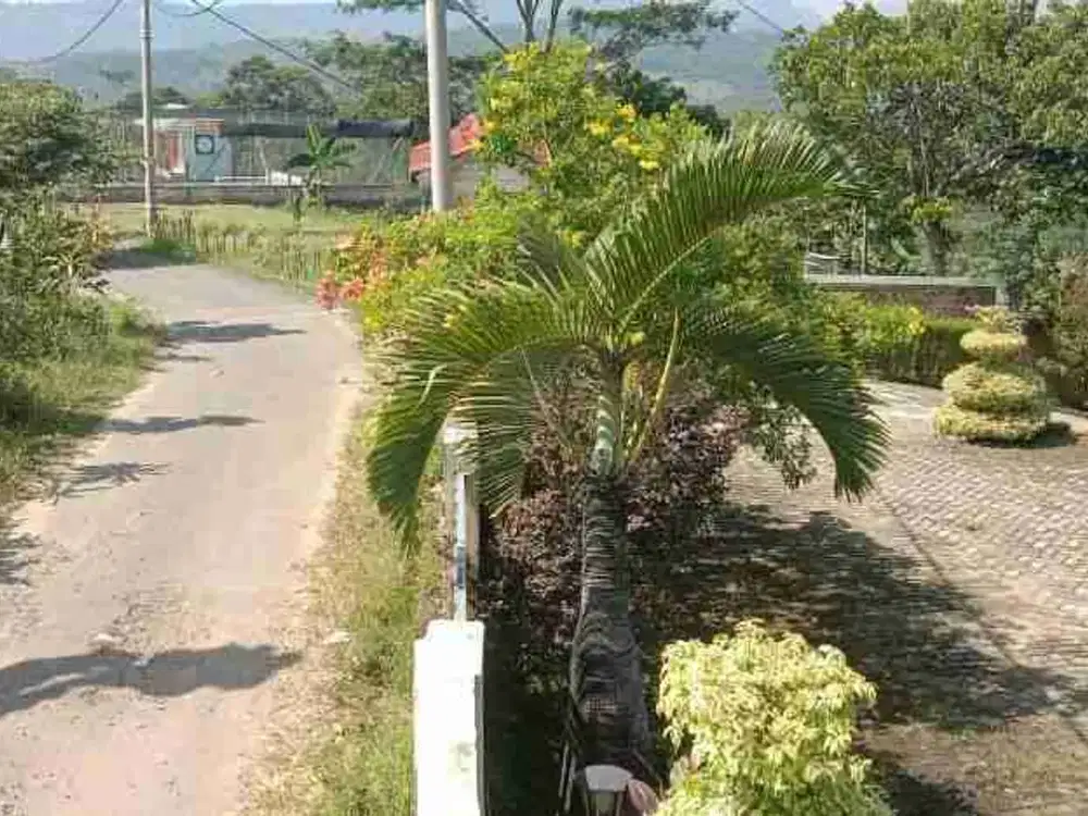 Dijual Murah Cepat Villa di Jonggol Arah Villa Khayangan Puncak 2 kav.Bonjouvi