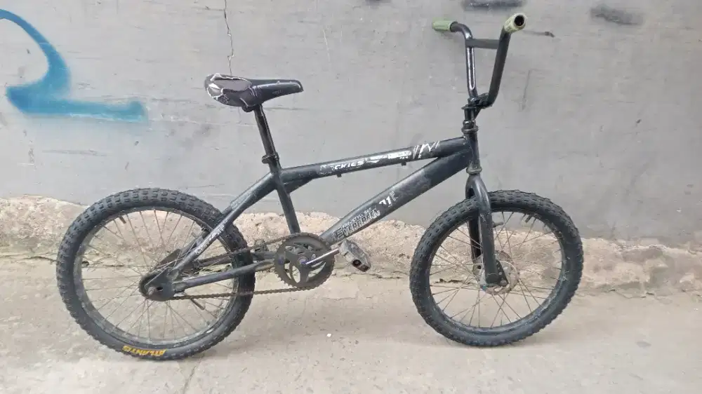 Sepeda BMX EVERGREEN ukuran 20 Rem torpedo ukuran 20