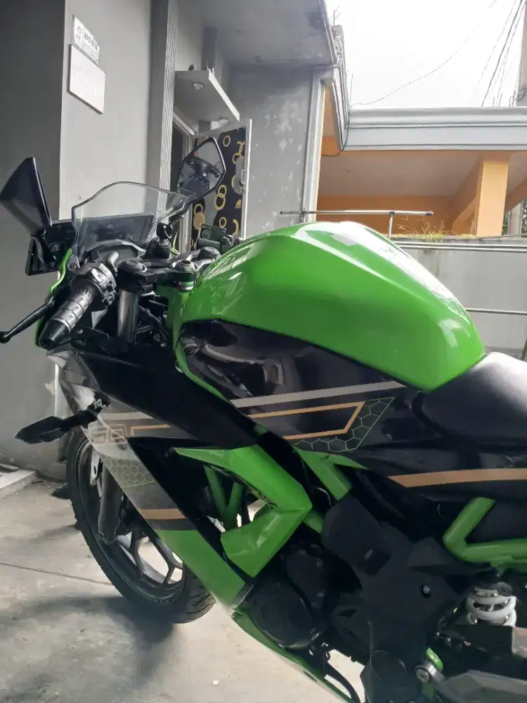 Kawasaki ninja 250 L mono