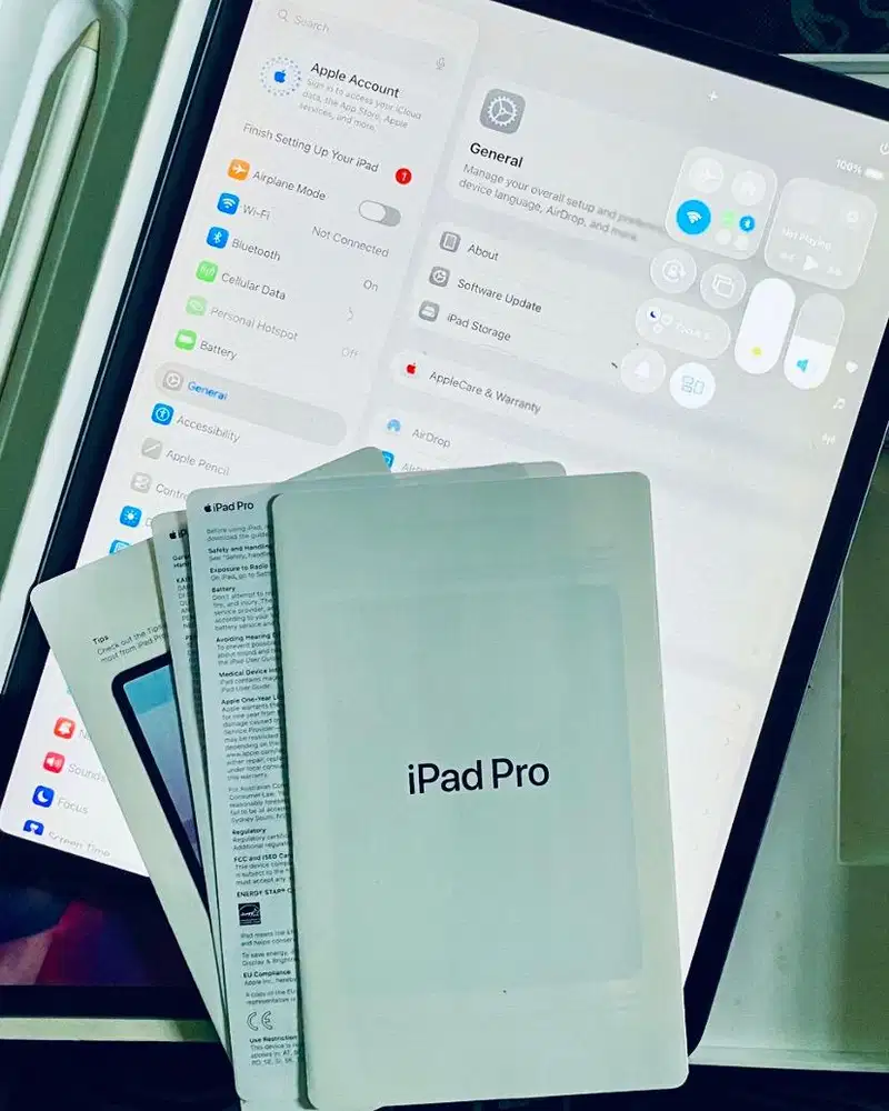iPad Pro 4th Gen (2020) 256GB Wifi+Celular iBox