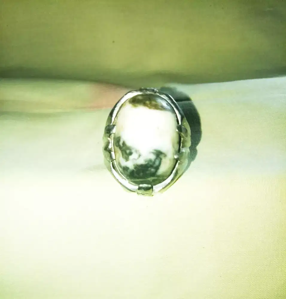 Batu Naga Terbang Unik