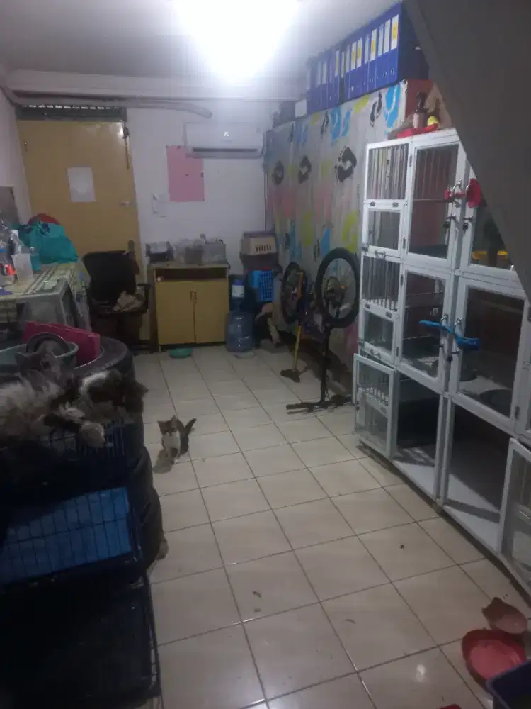 Dibutuhkan art pp lokasi kelurahan tengah.kr jati.jaktim.