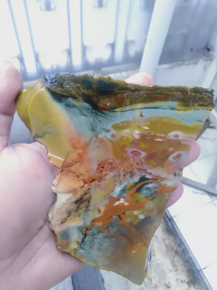 Garut pancawarna lawasan