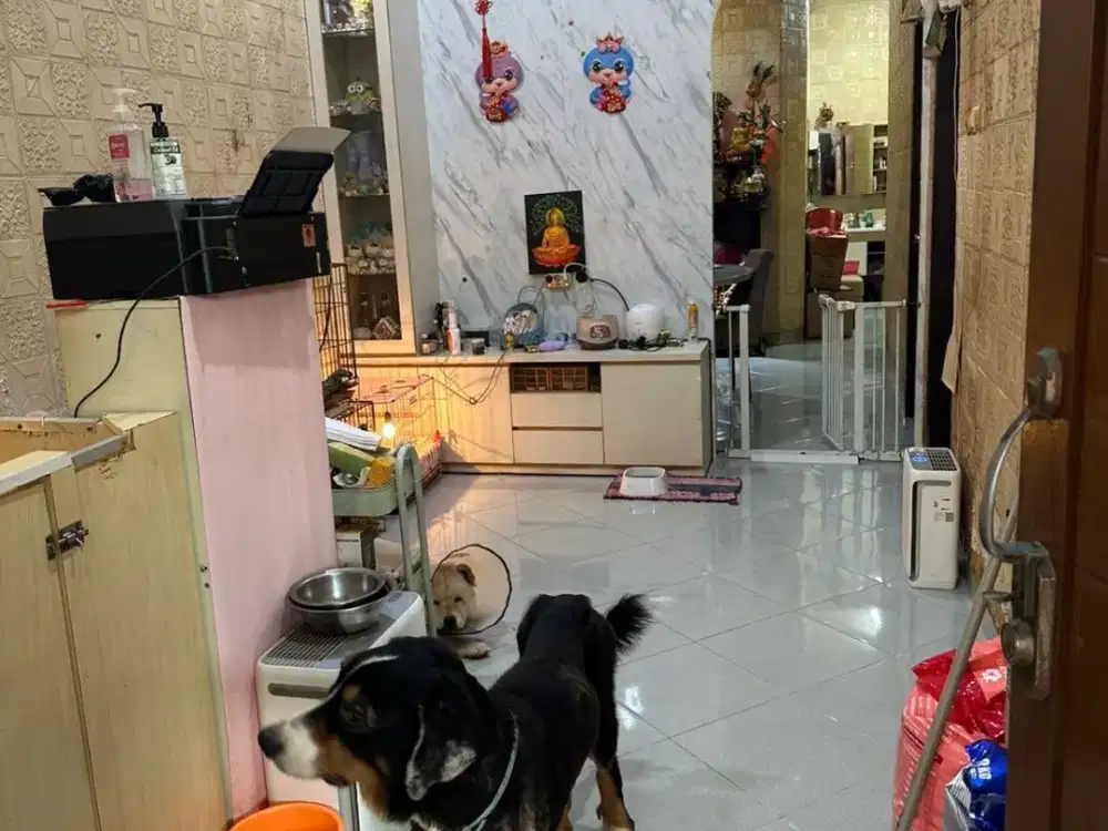 Jual Cepat Murah Rumah Siap Huni di Duta Bandara Permai Tangerang