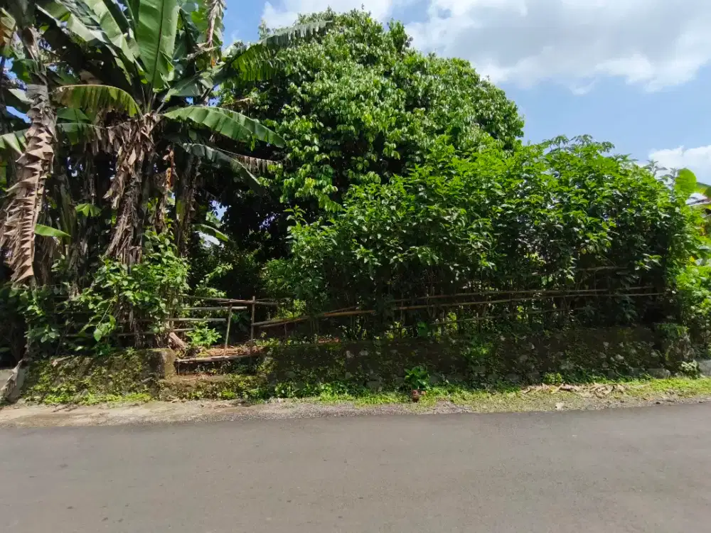 Di Jual Tanah Strategis di desa Kramat