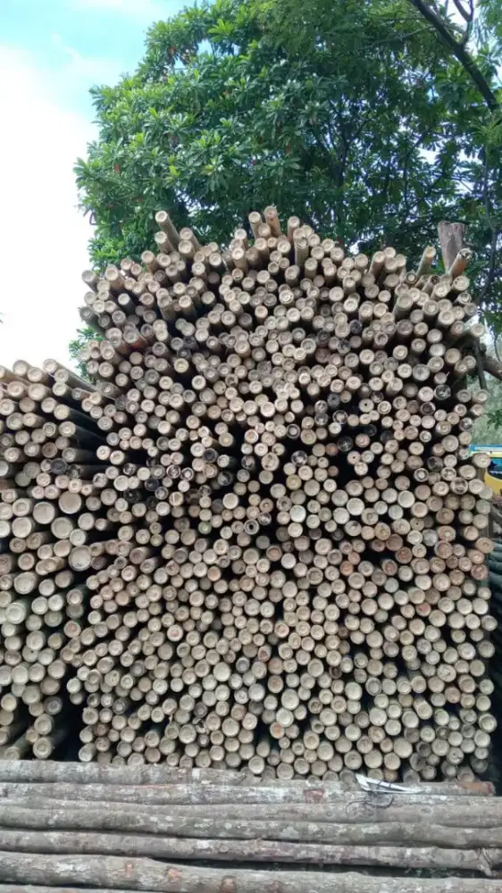 Jual papan cor dan balok 6x12