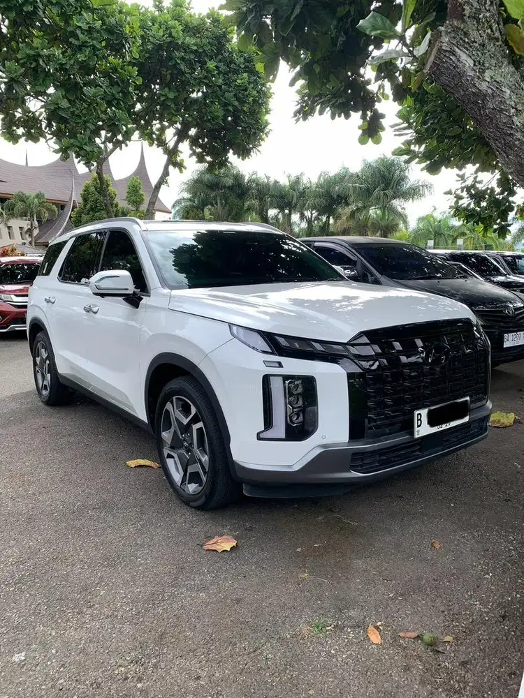 Palisade signature - white