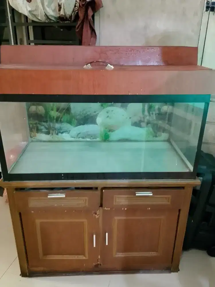 Di jual aquarium bekas