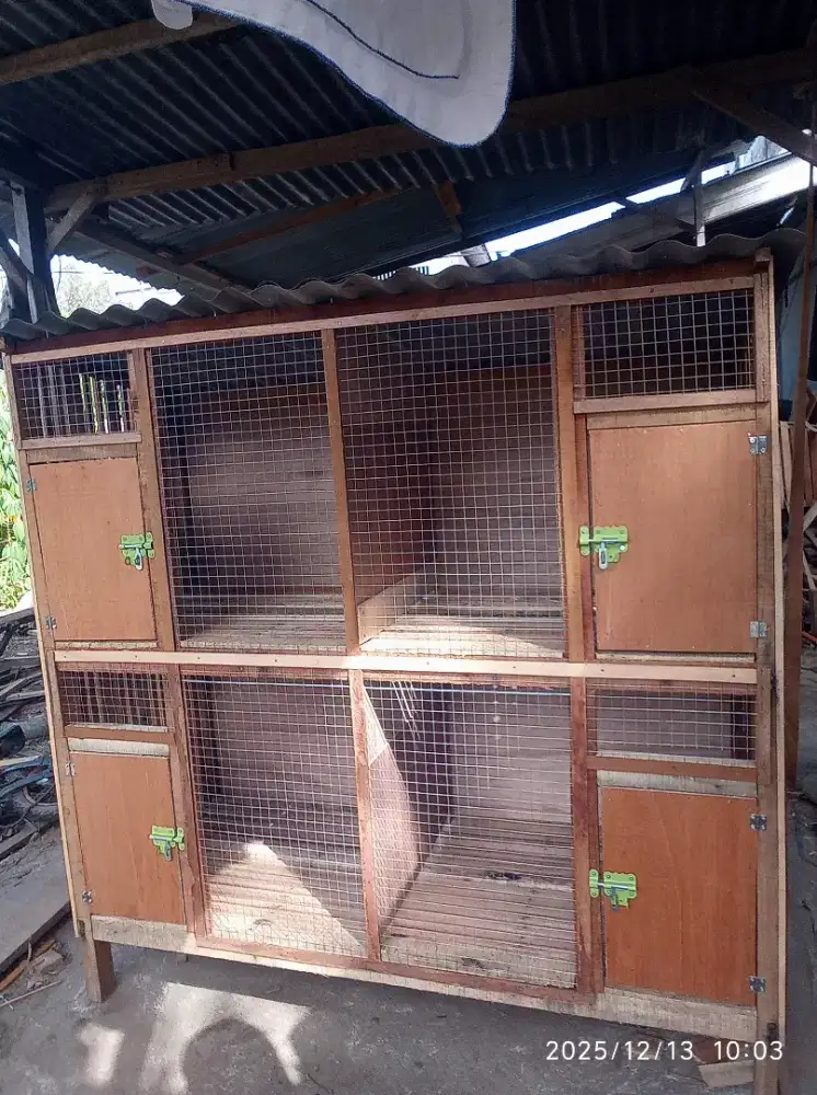 Kandang 4 pintu