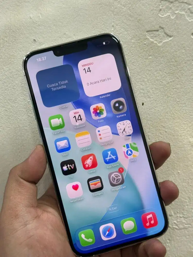 Iphone 13 pro max 256gb