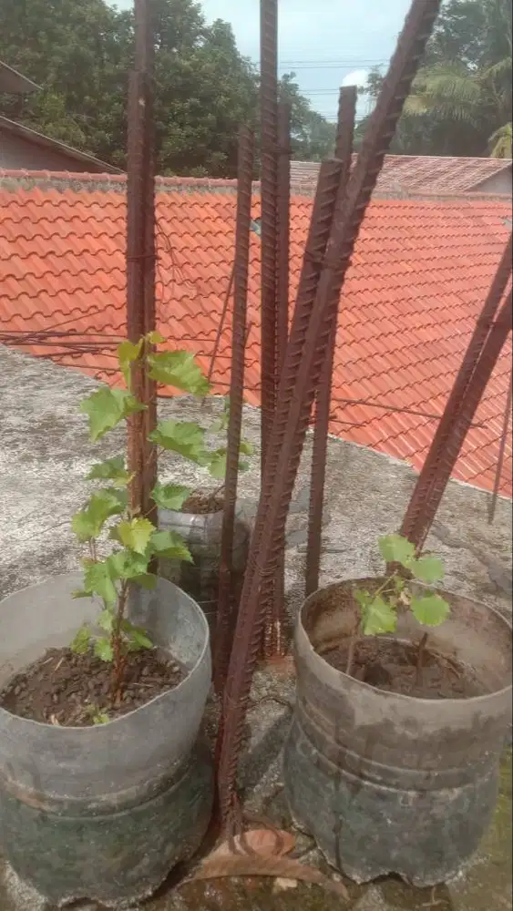 Mencari perkerjan ob